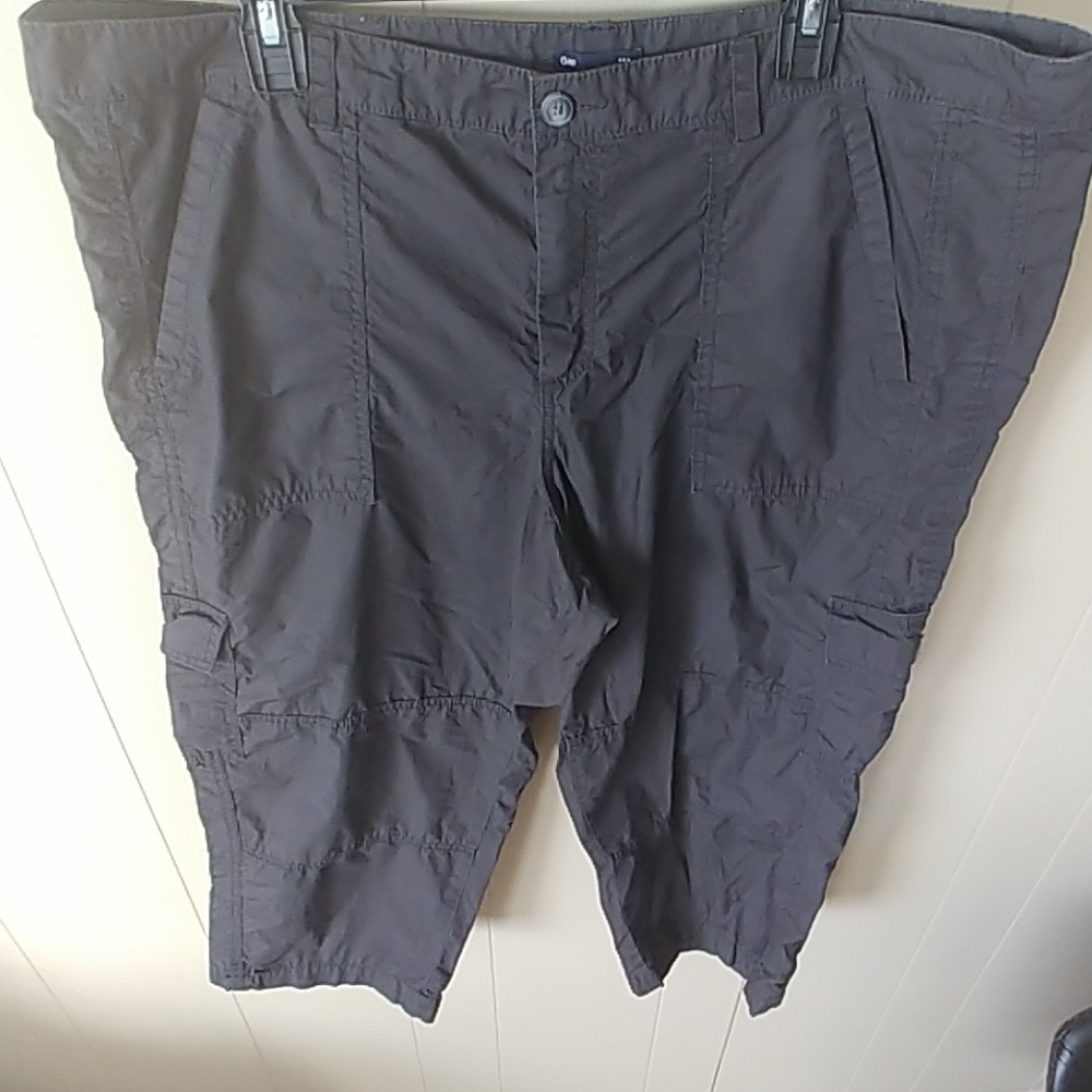Gap pants